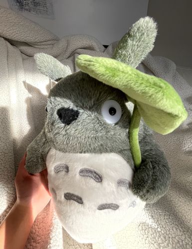 Customer photo review of Cute Neighbor Totoro Plushie Collection