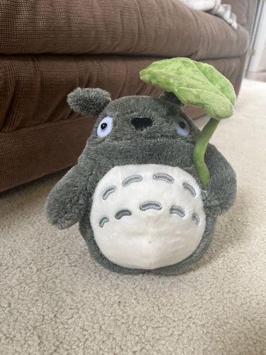Customer photo review of Cute Neighbor Totoro Plushie Collection