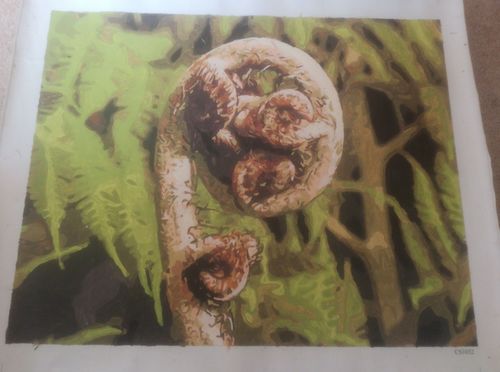 Customer photo review of New Zealand Fern