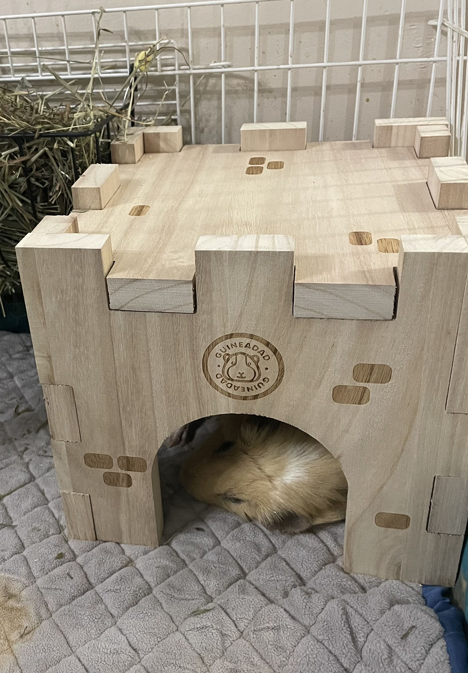 Customer photo review of GuineaDad Queen's Castle
