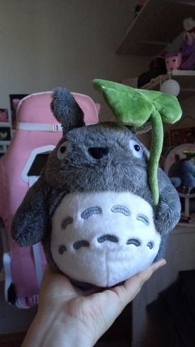 Customer photo review of Cute Neighbor Totoro Plushie Collection