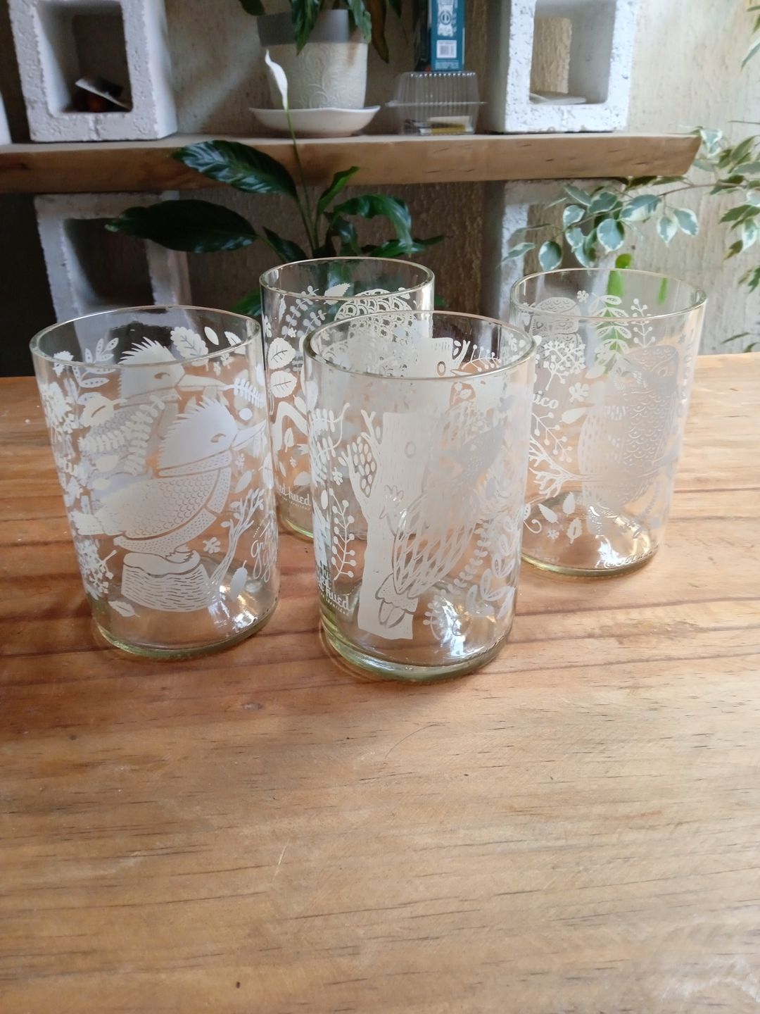 Customer photo review of Aves de Chile Juego de 4 Vasos