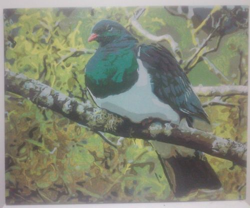 Customer photo review of Kereru