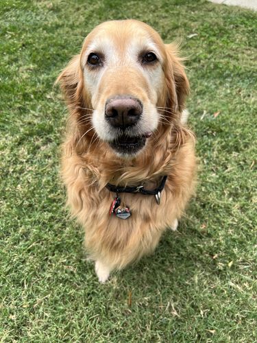 Customer photo review of Explorer Silicone