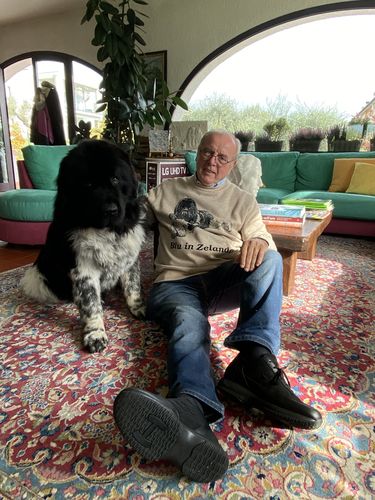 Customer photo review of Full-Body Pet Custom Sweater