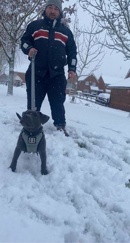 Customer photo review of Nylon Snap Hook Lead | Series 2 - Metal Grey