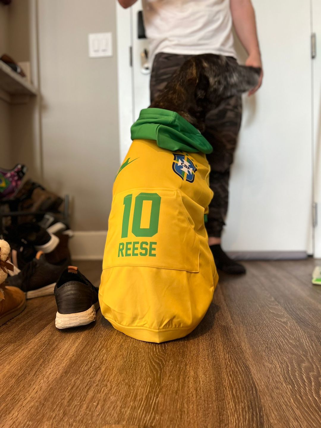 Customer photo review of Brazil Dog Hoodie