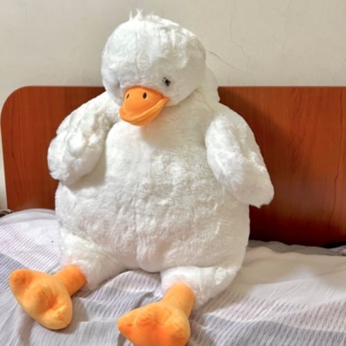 Customer photo review of Chubby Fluffy Duck Plush