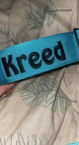 Customer photo review of 5cm Combat® Collar | Rated Clip - NO HANDLE - Light Blue v2.0