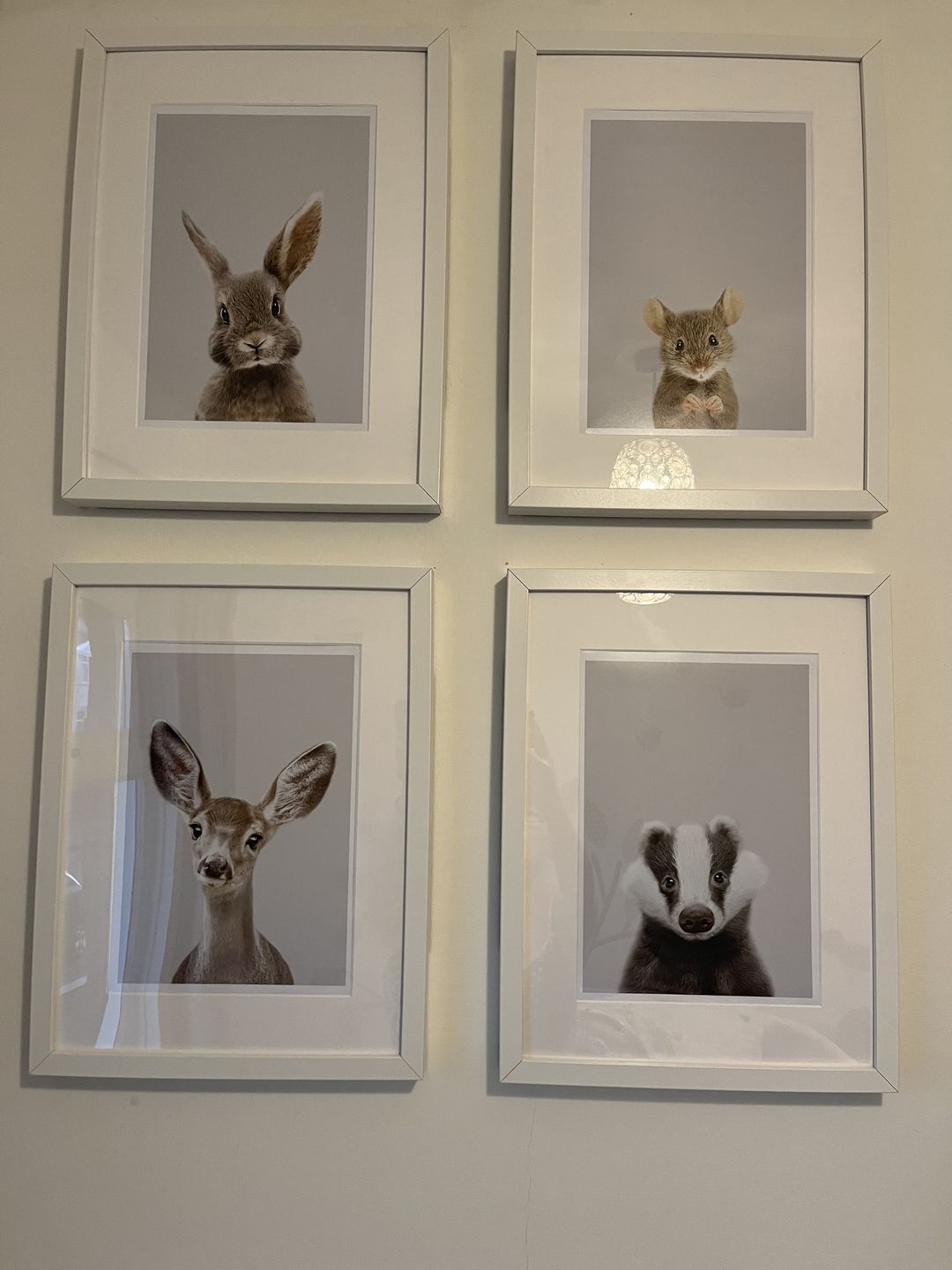 Customer photo review of Rabbit Art Print