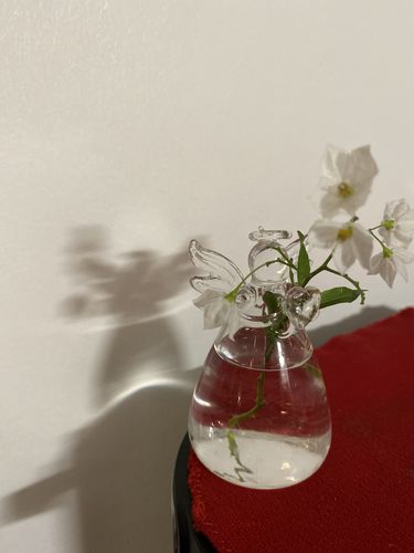 Customer photo review of Mon petit ange gardien