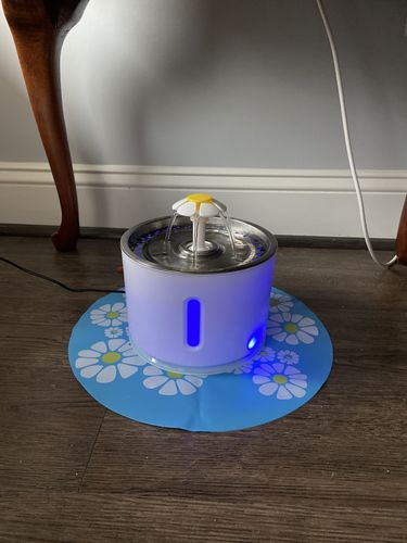 Customer photo review of Cat Flower Fountain