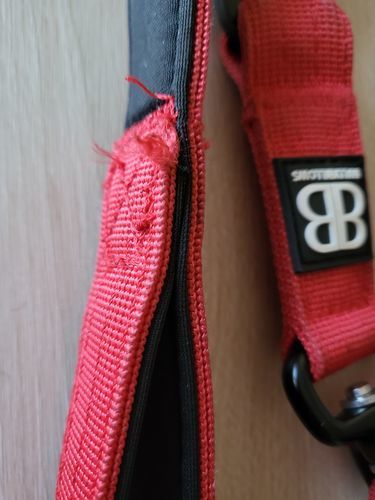 Customer photo review of 1.4m Swivel Combat Lead | Neoprene Lined, Secure Rated Clip with Soft Handle - Red