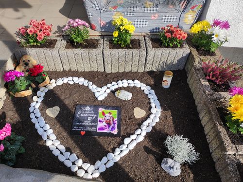 Customer photo review of Hunde Gedenktafel mit Foto & In liebevoller Erinnerung