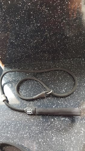 Customer photo review of Slip Lead | Anti-Pull & Anti-Choking Training Lead - Black v2.0