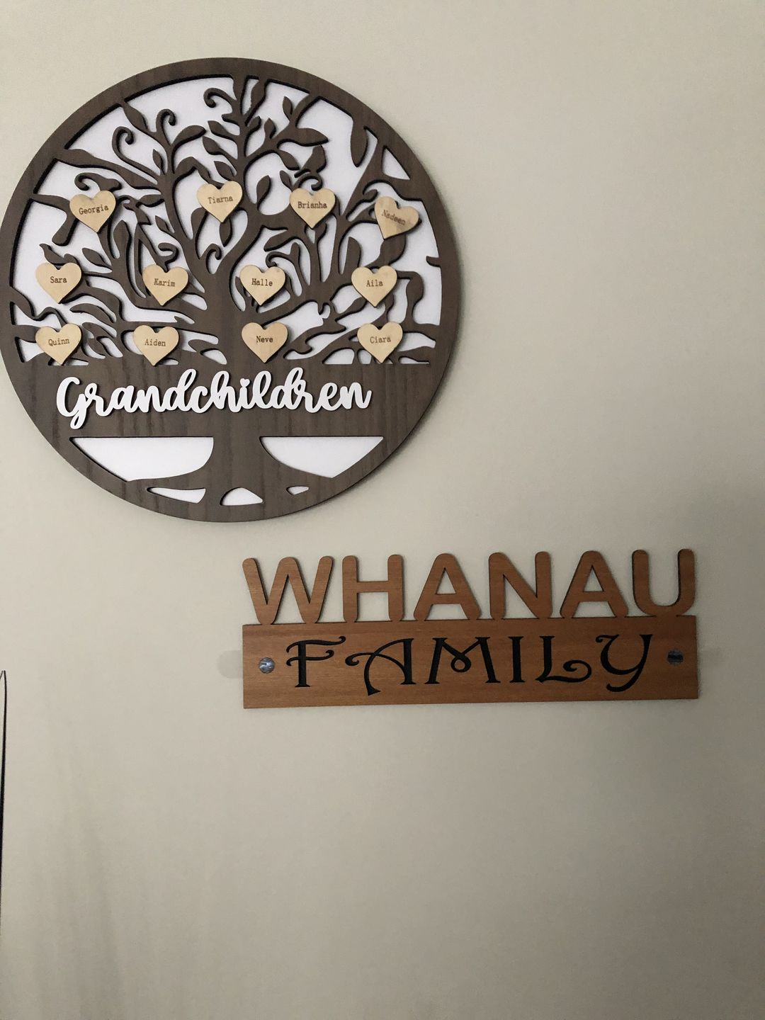 Customer photo review of Rimu and Paua Shell Whanau Family Wall Art
