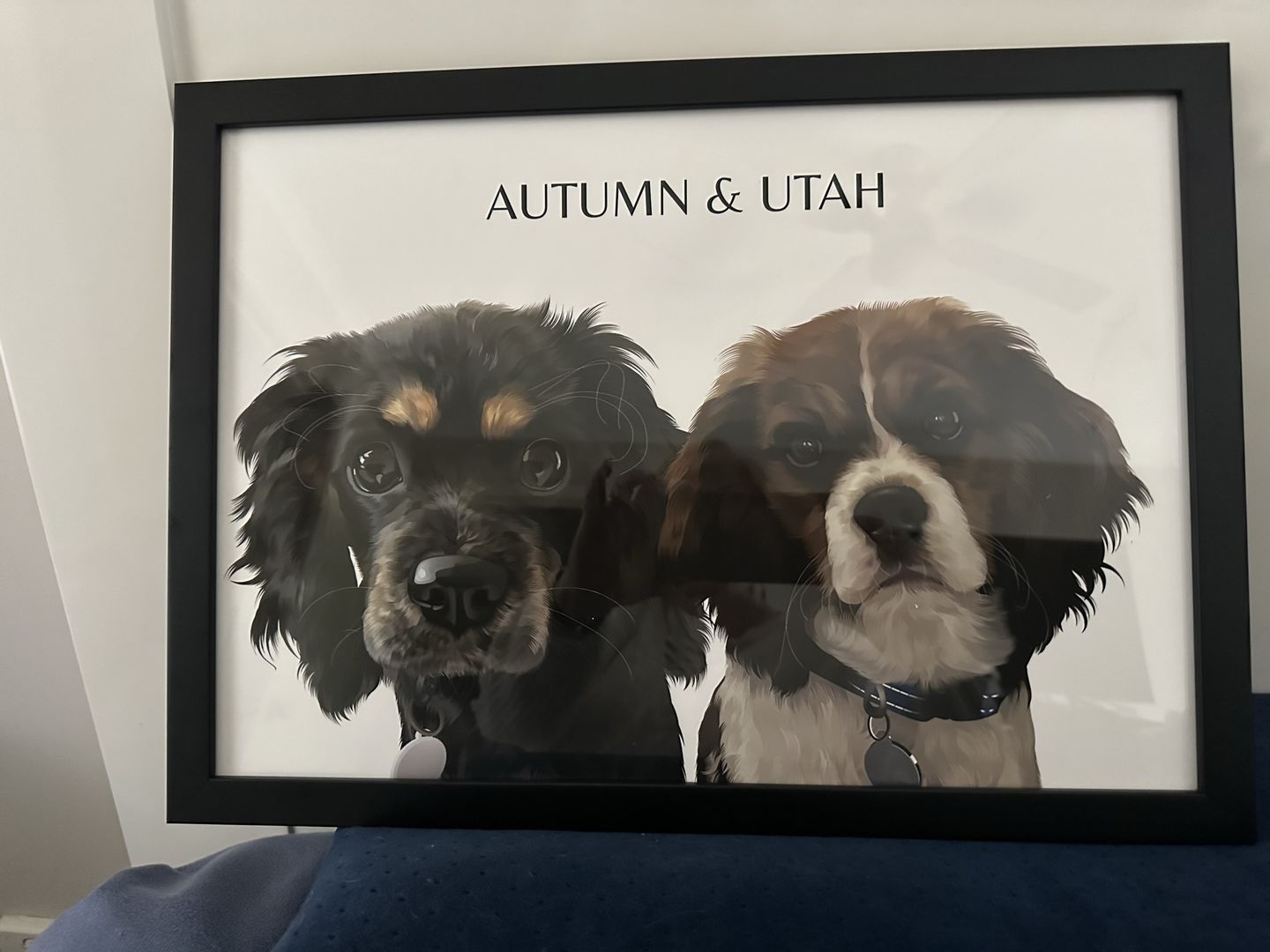 Customer photo review of Two-Pet Portrait