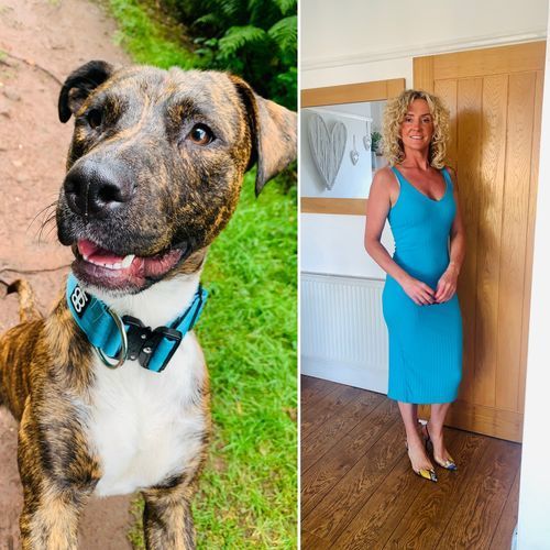 Customer photo review of 5cm Combat® Collar | Rated Clip - NO HANDLE - Light Blue v2.0