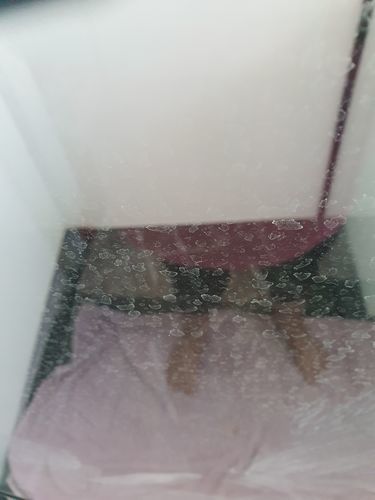 Customer photo review of GLASSGUARD™ Glass Restoration Stain Remover