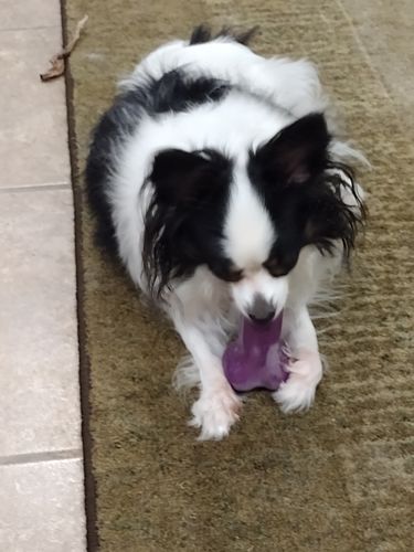 Customer photo review of Peanut Butter 45 Grams (4 Pack)®