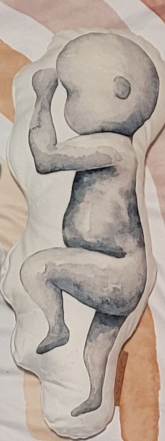 Customer photo review of Birth Pillow Watercolor One
