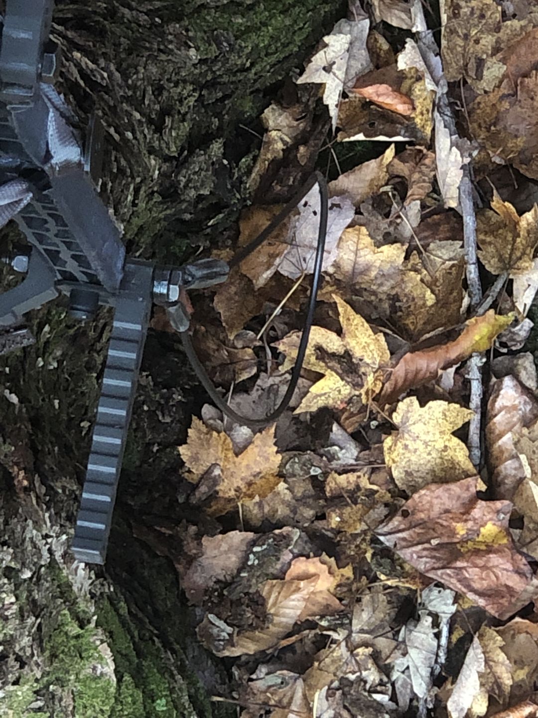Customer photo review of Cable Aider™️