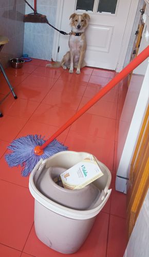 Customer photo review of Eco-Tiras de Detergente 40 lavados Natulim