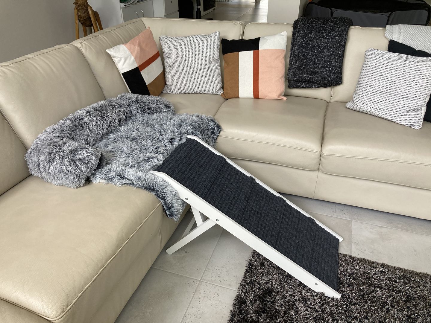 Customer photo review of PaWz Adjustable Dog Ramp