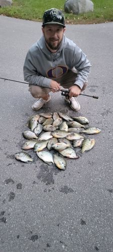 Customer photo review of Custom Spinning Rod