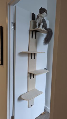 Customer photo review of Cat Door Hanging Climber Bed
