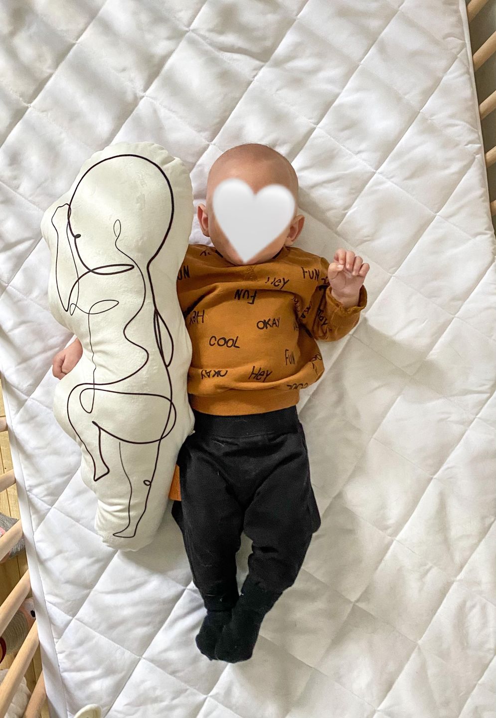 Customer photo review of Birth Pillow Line One