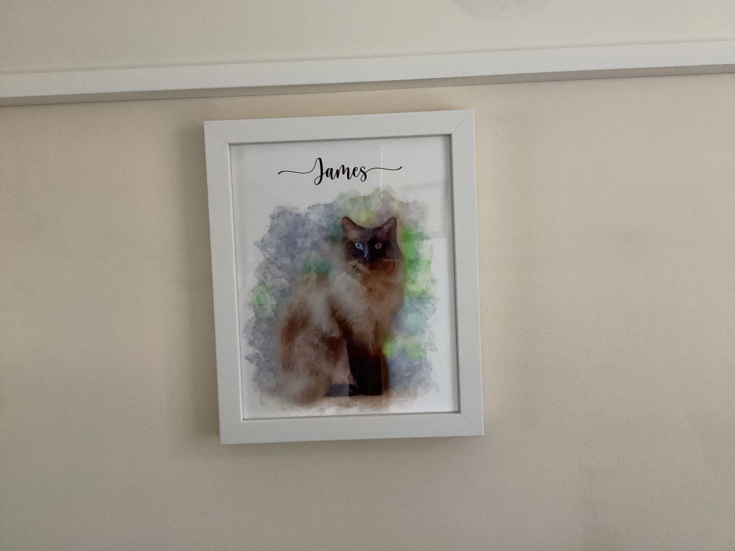 Customer photo review of Custom Pet Portrait
