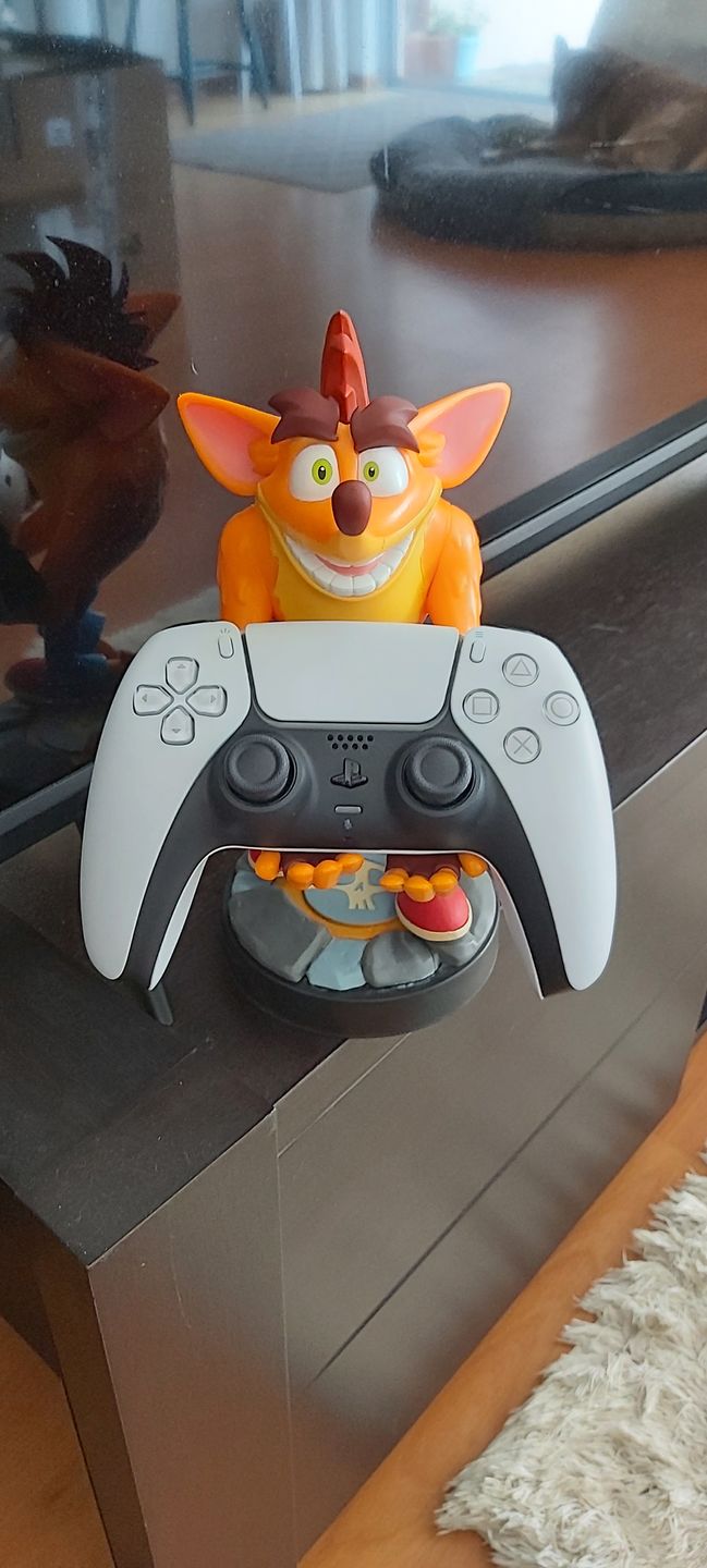 Customer photo review of Cable Guy: Crash Bandicoot Quantum