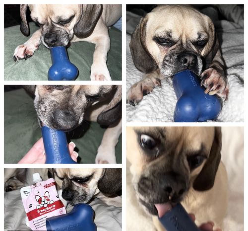 Customer photo review of Freezbone