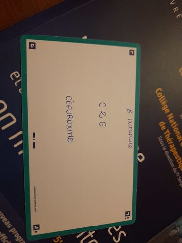 Avis photo d'un client sur Flashcards FLASH 2.0 OXFORD # 80 cartes 7,5 x 12,5 cm - uni blanc