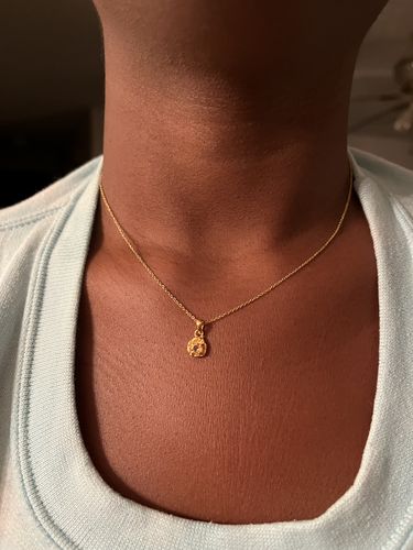 Customer photo review of November Birthstone Necklace (Citrine)