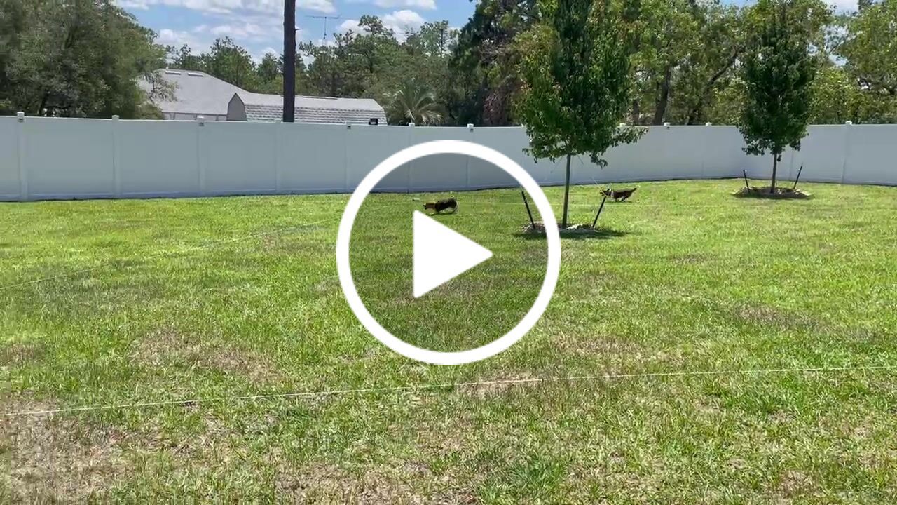 Customer video review of Roll of Line (500 ft)