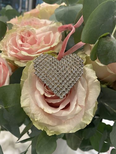 Customer photo review of Esme Heart Ornament Set in Crystal