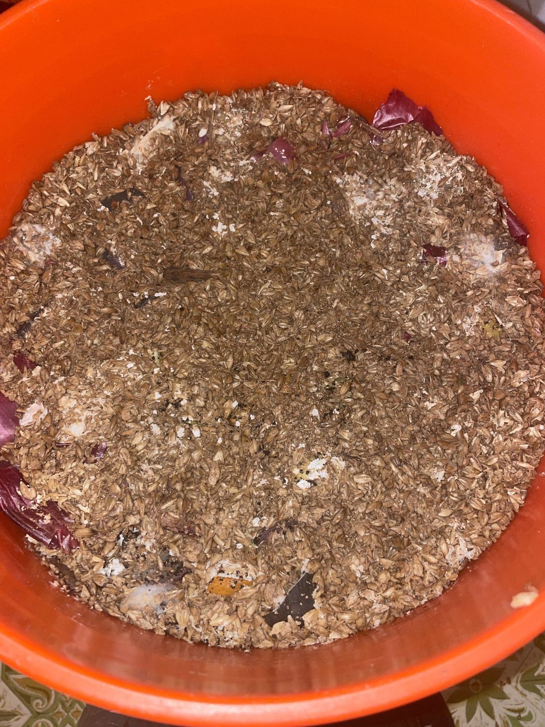 Customer photo review of BierKashi Bokashi 5 to 50 lbs
