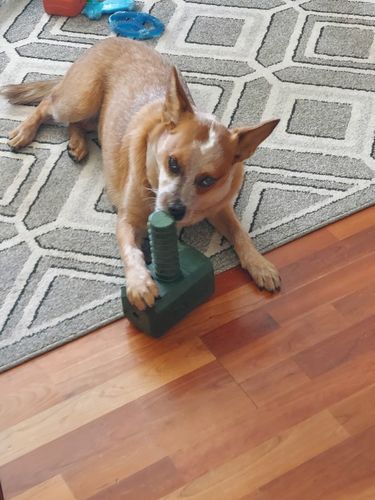 Customer photo review of The Fenrir Hammer