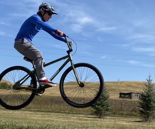 Customer photo review of Twenty9er BMX Bike