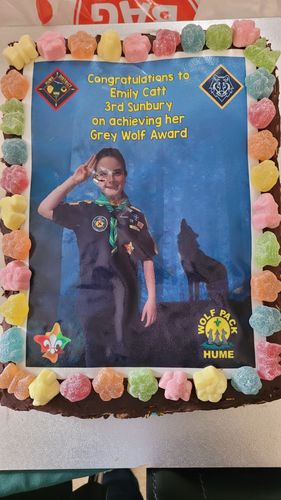 Customer photo review of 19 cm x 19 cm Square Pre-cut Custom Edible Icing Image