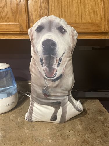 Customer photo review of Create A Custom Dog Pillow