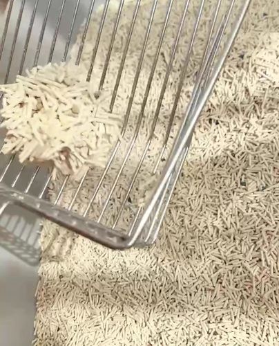 Customer photo review of Michu Mixed Tofu Cat Litter, Heavy Duty Flushable Kitty Litter