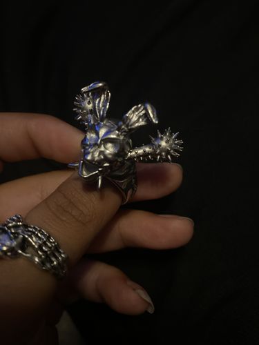Customer photo review of Terror Rabbit 100% Stainless Steel Ring