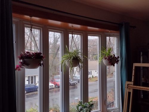 Customer photo review of 10" Signature Stone Hanging Planter