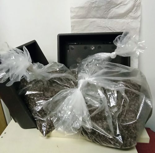 Customer photo review of VASI BONSAI PLASTICA RIGIDA PROFESSIONALI