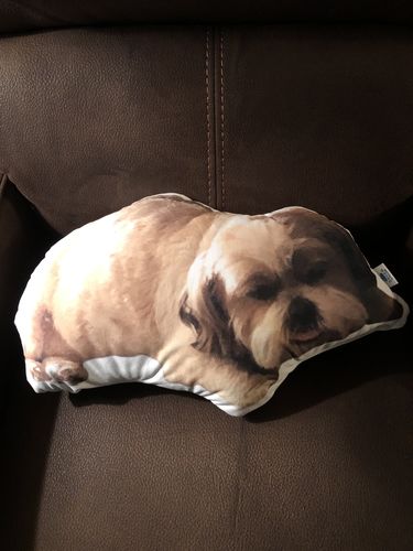 Customer photo review of Create A Custom Dog Pillow