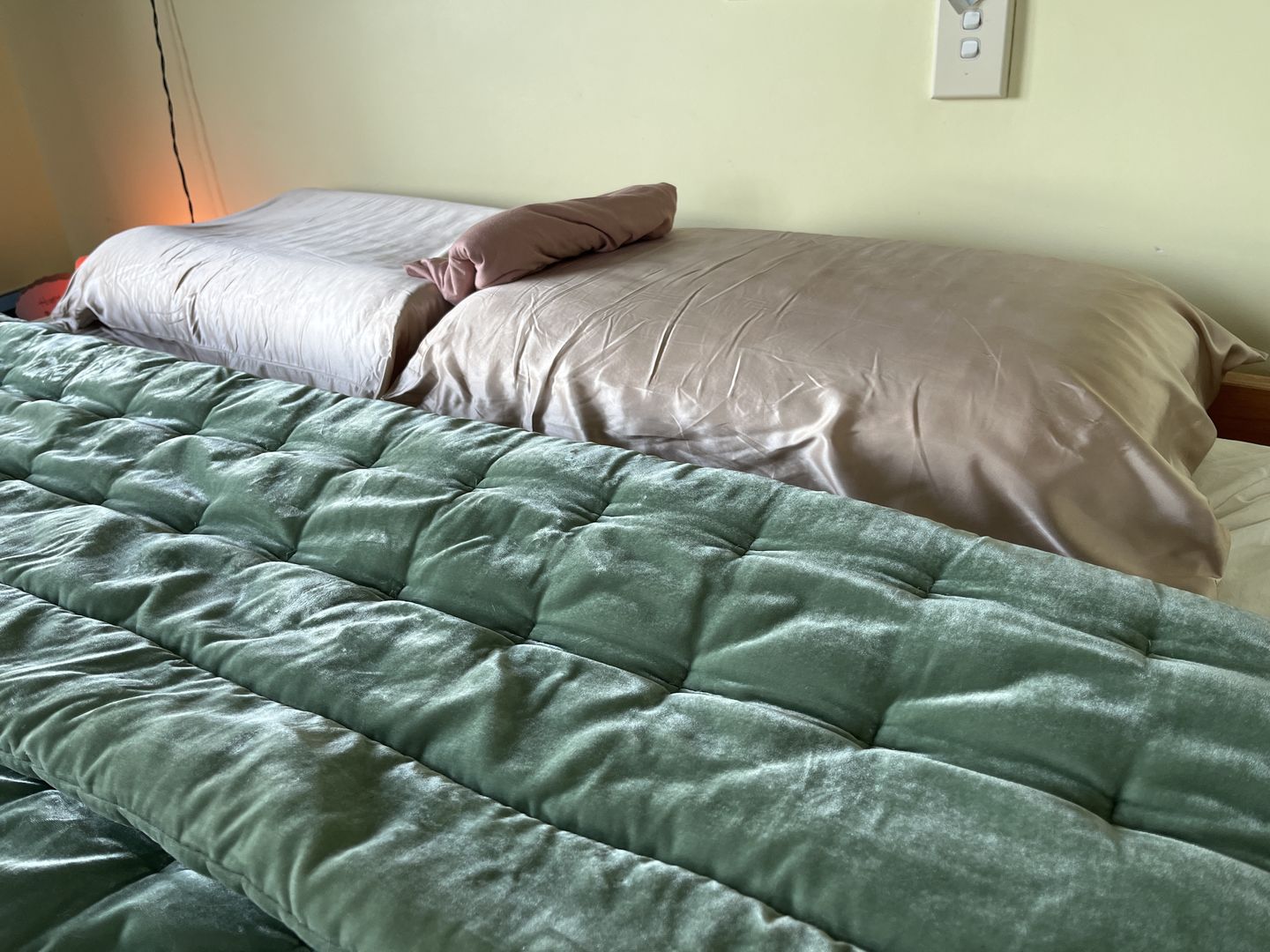 Customer photo review of Champagne Silk Pillowcase- NZ Standard Size - Zip Closure