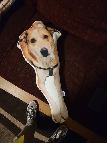Customer photo review of Create A Custom Dog Pillow